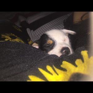 Meet your Posher, Andrea